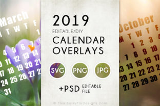 Designing Your Year: Creative Uses for 2019 Calendar Templates